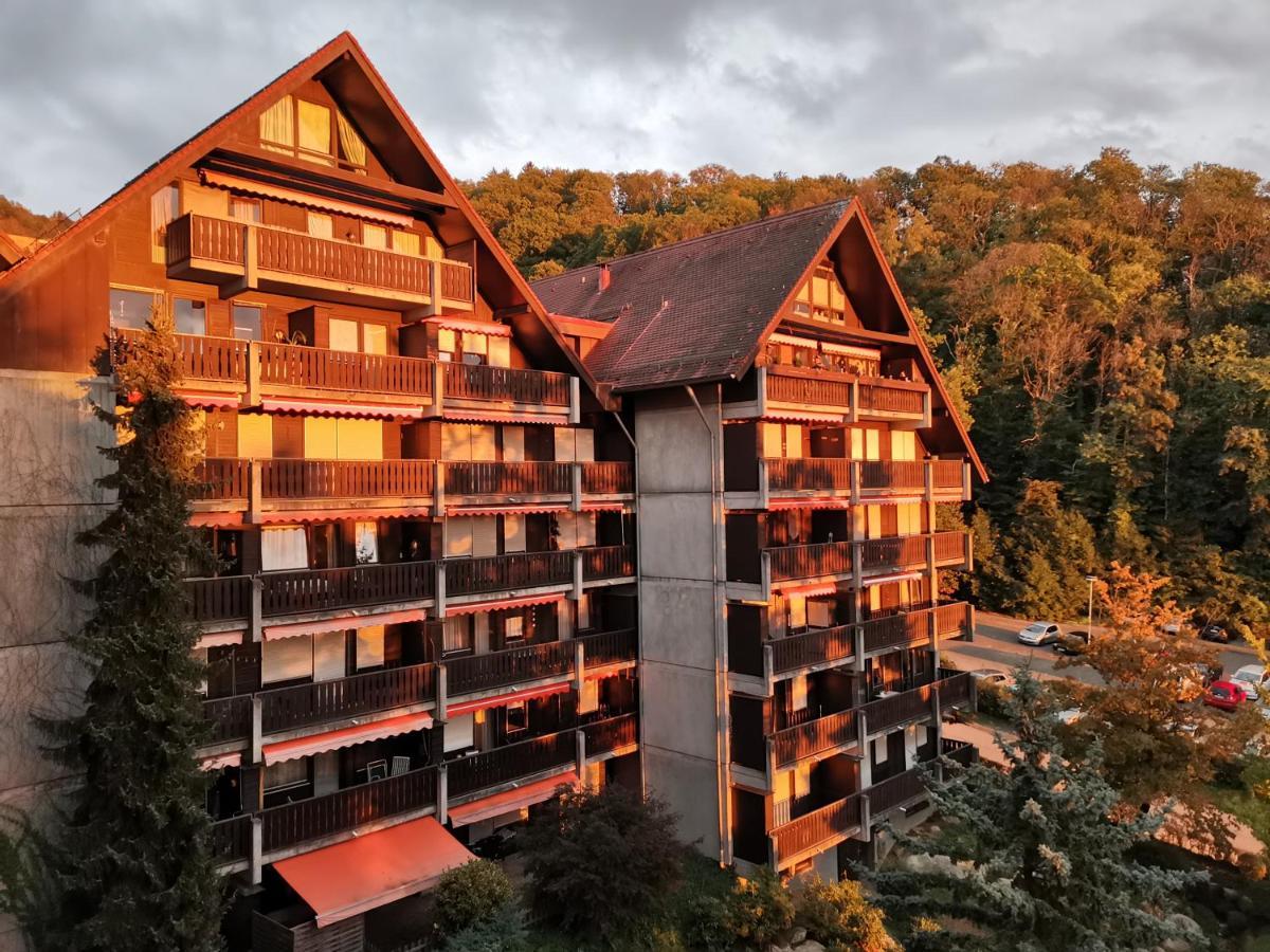 Gaishoell-Wasserfaelle Apartment Schwarzwald ซัสบาควัลเดิน ภายนอก รูปภาพ