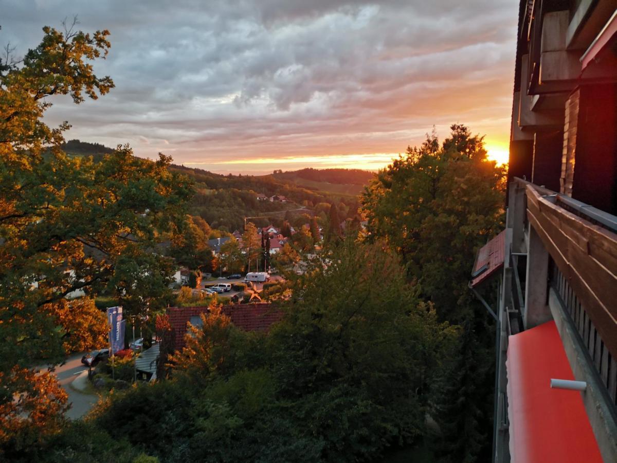 Gaishoell-Wasserfaelle Apartment Schwarzwald ซัสบาควัลเดิน ภายนอก รูปภาพ
