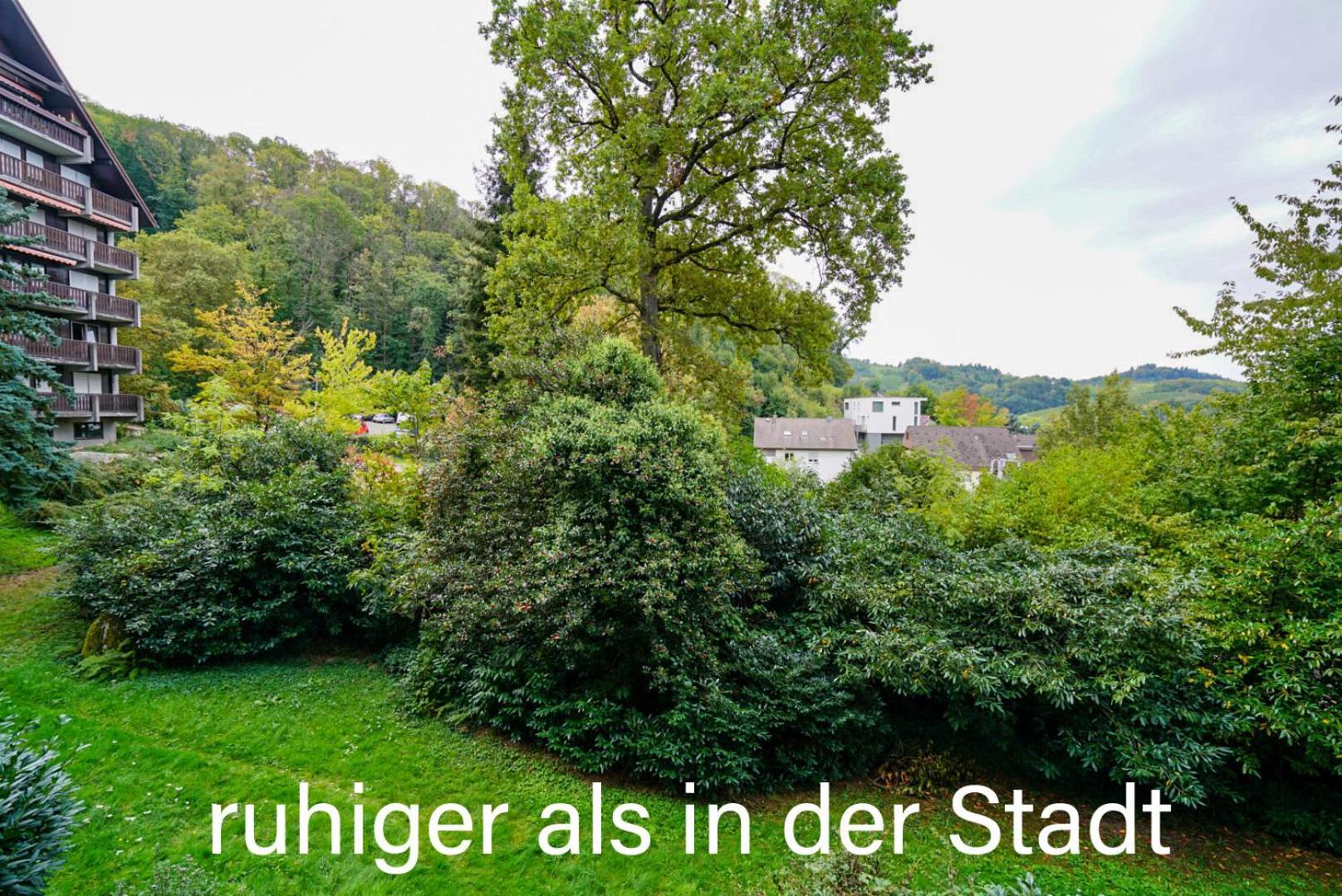 Gaishoell-Wasserfaelle Apartment Schwarzwald ซัสบาควัลเดิน ภายนอก รูปภาพ